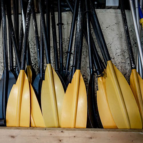 The image shows a storage area with several yellow and black canoe or kayak paddles neatly stacked against a wall.