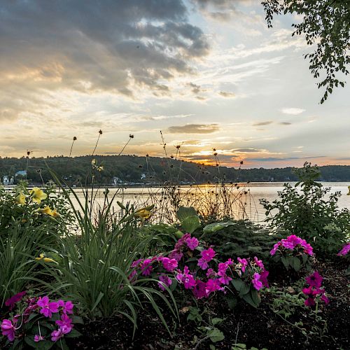 A lakeside scene with vibrant pink and yellow flowers in the foreground and a setting sun in the background under a partly cloudy sky.