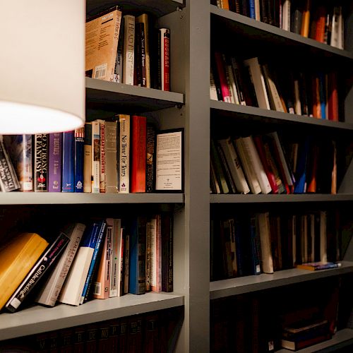 Bookshelves filled with various books are in the image, with a lit lamp on the left side providing warm illumination.