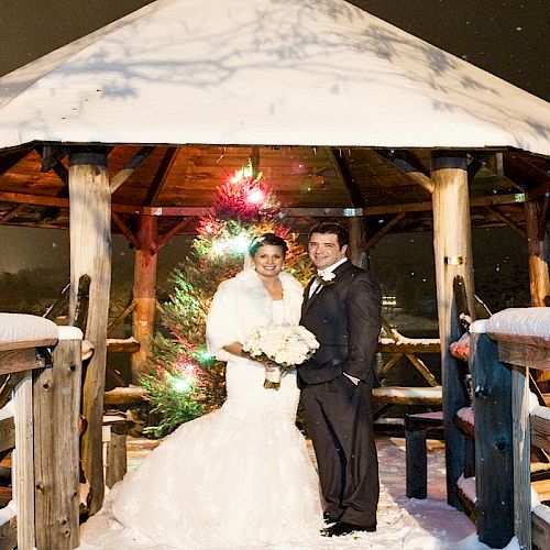 A just-married couple stands under a gazebo adorned with a Christmas tree, surrounded by a snowy landscape during nighttime.