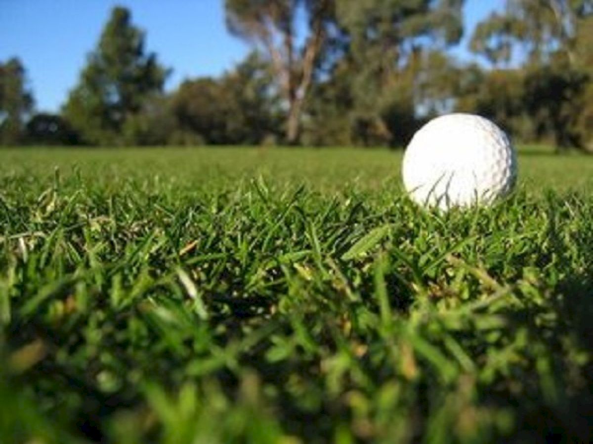 A close-up of a white golf ball on a neatly trimmed grass field with trees in the background.