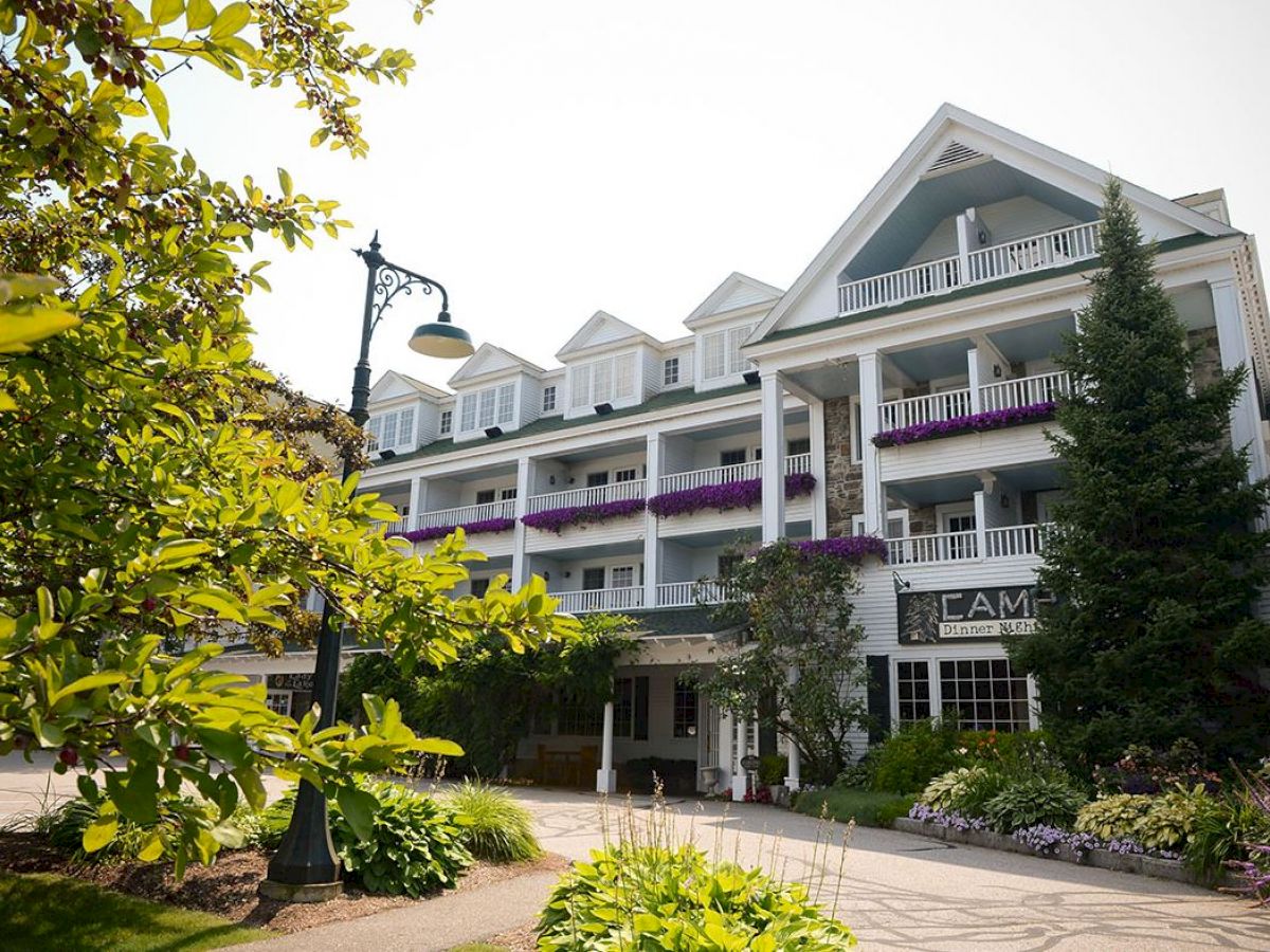 A multi-story building with balconies adorned with purple flowers, greenery surrounding the area, and a streetlamp in front, on a clear day.