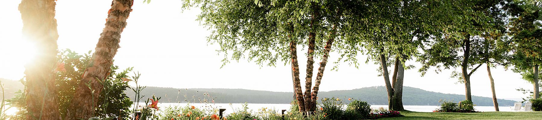 A scenic view of a garden with lush greenery, blooming flowers, and trees, overlooking a calm body of water at sunset.