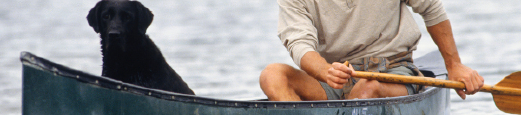 A man is paddling a canoe on a body of water with a black dog sitting at the front of the canoe.