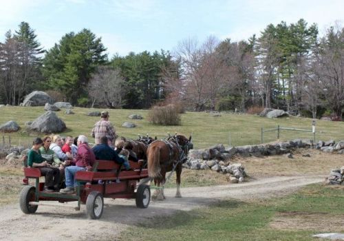 A horse-drawn cart carries people along a dirt path in a rural area.