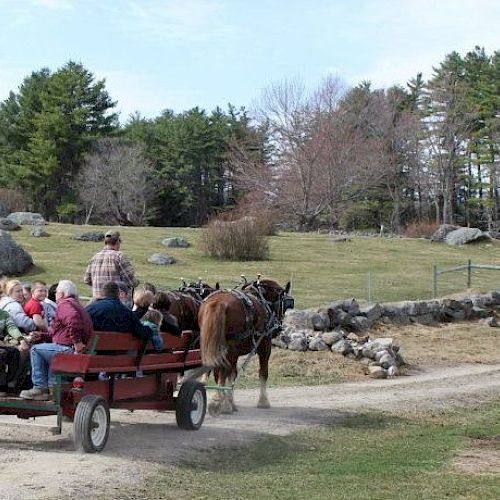 A horse-drawn cart carries people along a dirt path in a rural area.