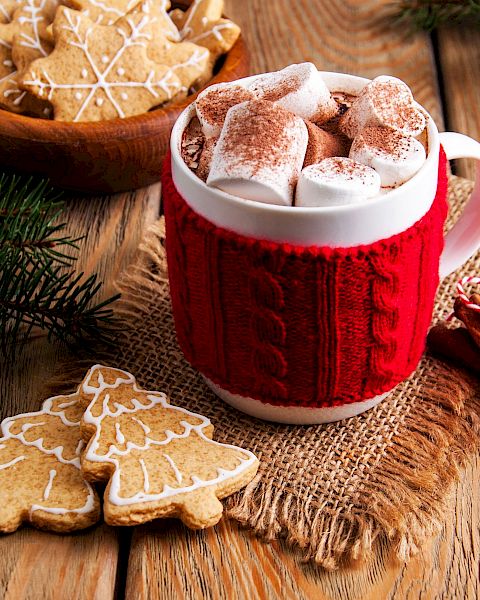 A cozy scene with hot cocoa topped with marshmallows in a red mug, Christmas cookies, cinnamon sticks, and pine branches on a wooden table.