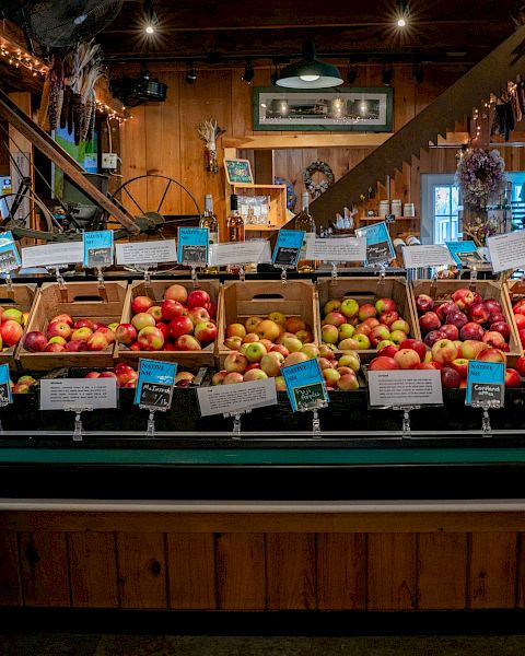 A rustic market display featuring various types of apples in wooden crates, with labels and decor in the background.