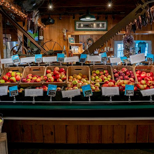 A rustic market display featuring various types of apples in wooden crates, with labels and decor in the background.