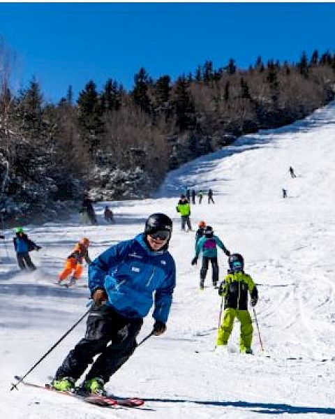 People skiing on a snowy slope with trees in the background, under a clear blue sky, wearing colorful ski gear.