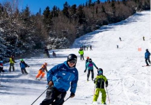 People skiing on a snowy slope with trees in the background, under a clear blue sky, wearing colorful ski gear.