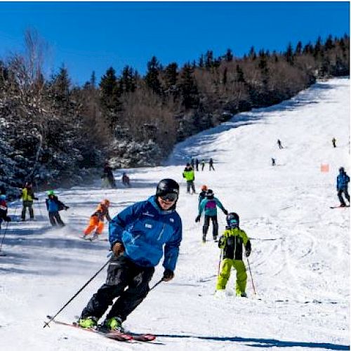 People skiing on a snowy slope with trees in the background, under a clear blue sky, wearing colorful ski gear.